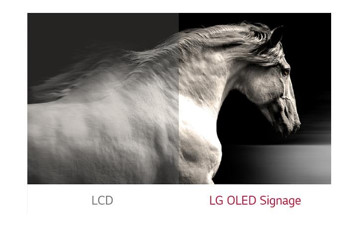 Художественное пространство выходит за пределы дисплея, LG Wallpaper OLED Signage
