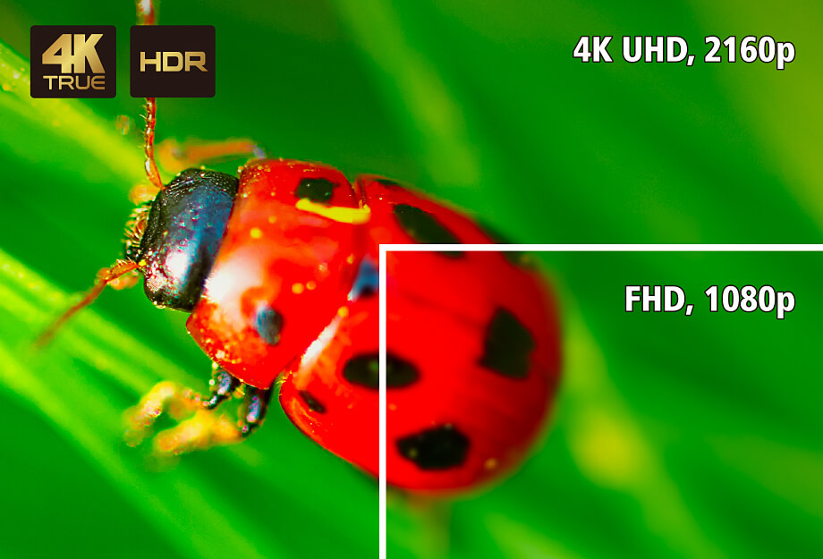 True 4K, HDRПоддерживает разрешения до 4096 x 2160 при 60 Гц (4:4:4) с HDR для обеспечения четкости подачи материалов каждой презентации.True 4K, HDRПоддерживает разрешения до 4096 x 2160 при 60 Гц (4:4:4) с HDR для обеспечения четкости подачи материалов кажTrue 4K, HDRПоддерживает разрешения до 4096 x 2160 при 60 Гц (4:4:4) с HDR для обеспечения четкости подачи материалов каждой презентации.дой презентации.